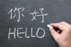 世界语言使用人数排名