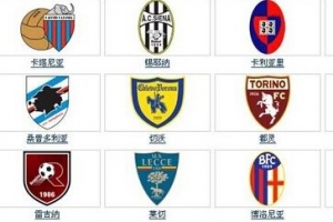 20142015意甲球队积分榜