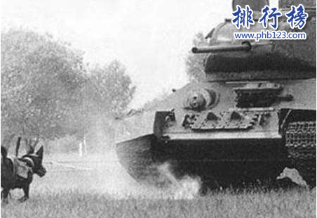 世界十大变态武器