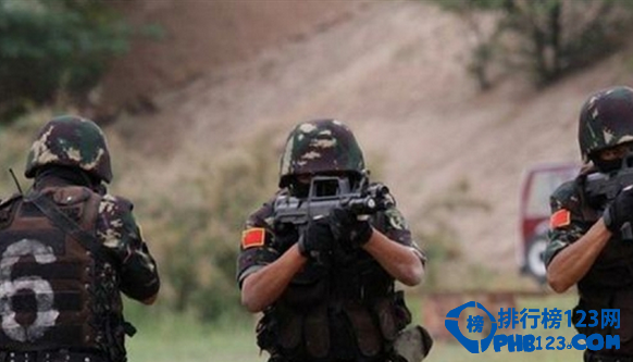 电视中的飞檐走壁，入刀山火海不仅仅只是出现在武侠里，也出现在中国解放军十大特种部队里，解放军十大特种部队。他们不仅特别厉害，还有帅气的别名，“东北虎”、“暗夜之虎”等。其中，中国人民武装警察部队“猎鹰突击队”更是由习大大亲自命名，作为反恐利剑为维护国家安全社会稳定做出了突出贡献