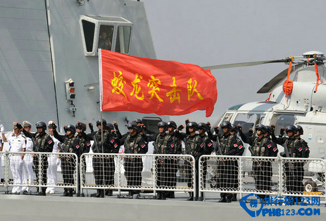 电视中的飞檐走壁，入刀山火海不仅仅只是出现在武侠里，也出现在中国解放军十大特种部队里，解放军十大特种部队。他们不仅特别厉害，还有帅气的别名，“东北虎”、“暗夜之虎”等。其中，中国人民武装警察部队“猎鹰突击队”更是由习大大亲自命名，作为反恐利剑为维护国家安全社会稳定做出了突出贡献