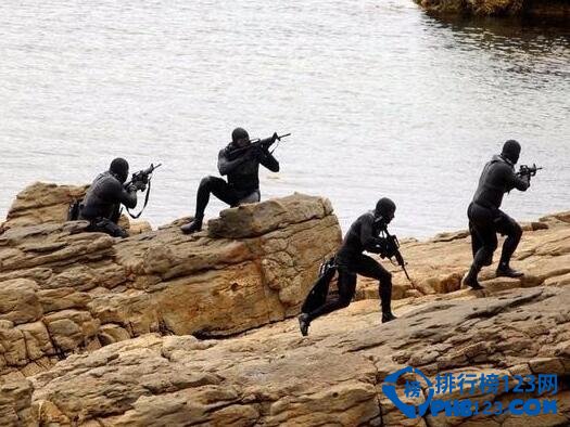 世界最厉害特种兵排行榜，最厉害的不为人知