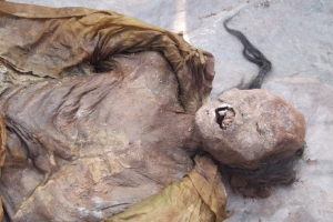 龙袍干尸:五官完整疑是顺治皇帝真身(附真实照片）