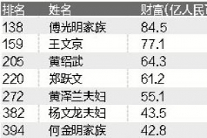 江西富豪排行榜2014