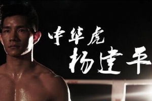 中国拳王排行榜：杨建平居首，邹市明进入前三