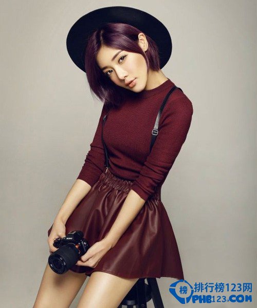 邓家佳代表作：《爱情公寓》30万/集