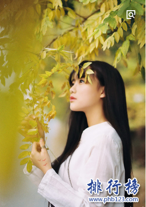 2018年微博十大网红排行榜