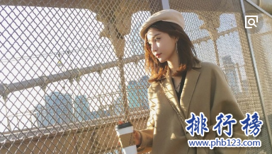 2018年微博十大网红排行榜