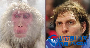 十大动物相似度极高的球星，姚明像松鼠!