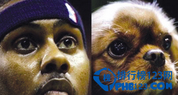 十大动物相似度极高的球星，姚明像松鼠!