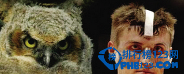 十大动物相似度极高的球星，姚明像松鼠!