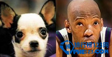 十大动物相似度极高的球星，姚明像松鼠!