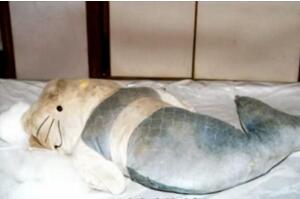 香港十大奇案之一:HelloKitty藏尸案,肢解头颅装入娃娃(图片)