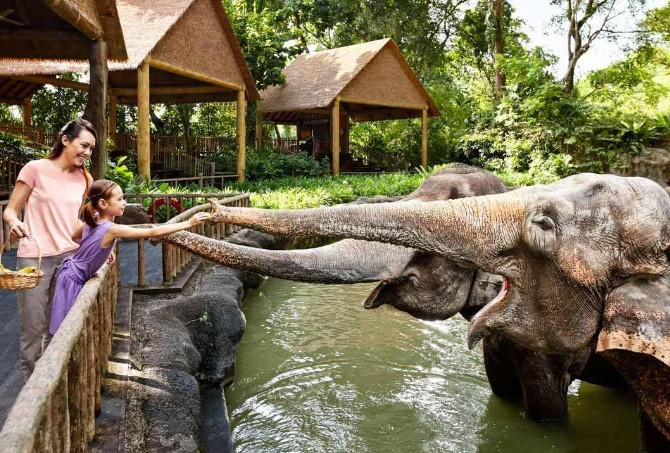 全球七大动物园排名 圣地亚哥动物园美国最大,第二无栅栏