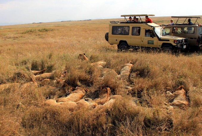 世界野生动物园排名 第一名为世界遗产，你去过吗