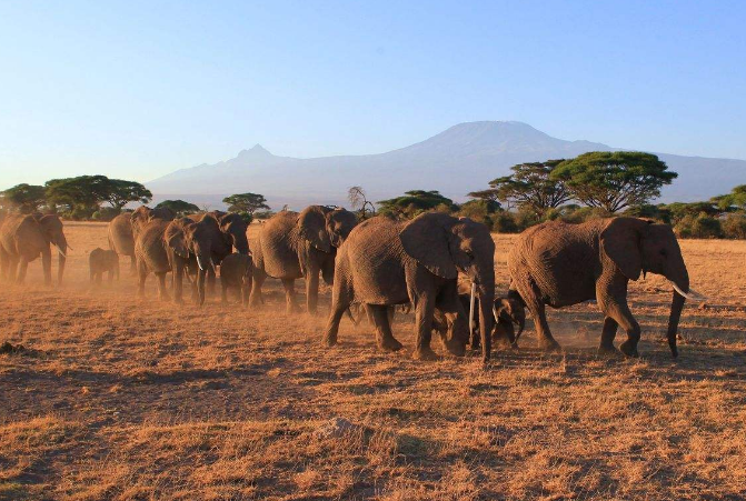 世界野生动物园排名 第一名为世界遗产，你去过吗