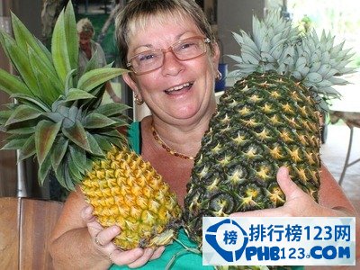 世界上最重的菠萝
