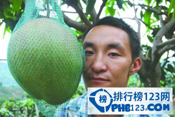 世界上最大芒果