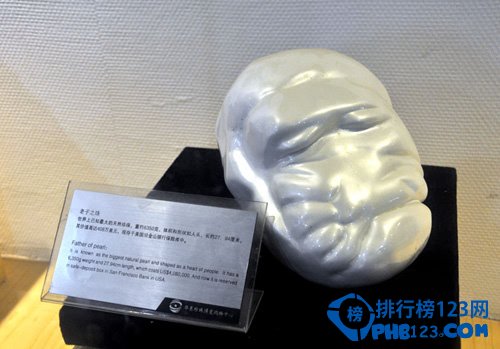 世界上最大的天然珍珠：重达6350g