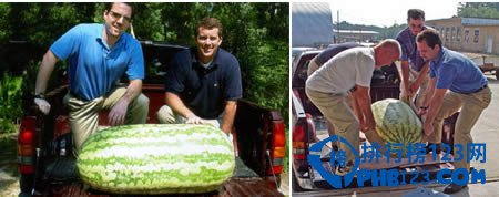 世界上最大最重的西瓜