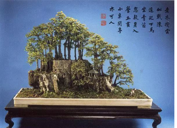 世界十大金奖盆景 中国黄雀梅盆景上榜