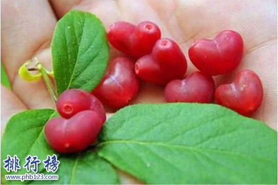 世界十大稀有水果,第一种你可能见都没见过