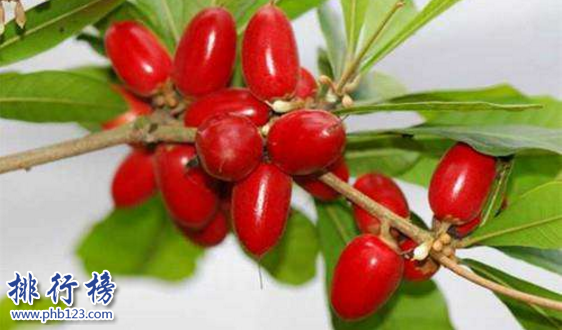 世界十大稀有水果,第一种你可能见都没见过