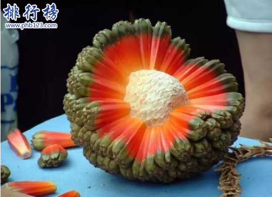 世界十大稀有水果,第一种你可能见都没见过