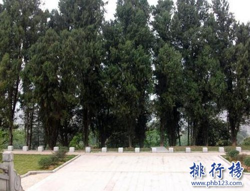 十大镇宅辟邪的植物，虎皮兰最招财！