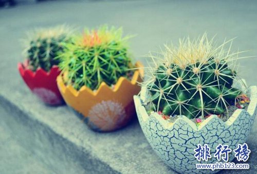 十种办公室适合养的植物，第一种可招财！