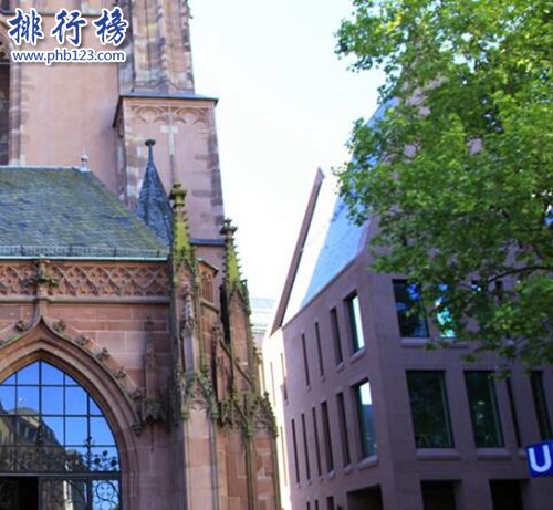 盘点世界十大神奇的树：第六杀人，第一产黄金！