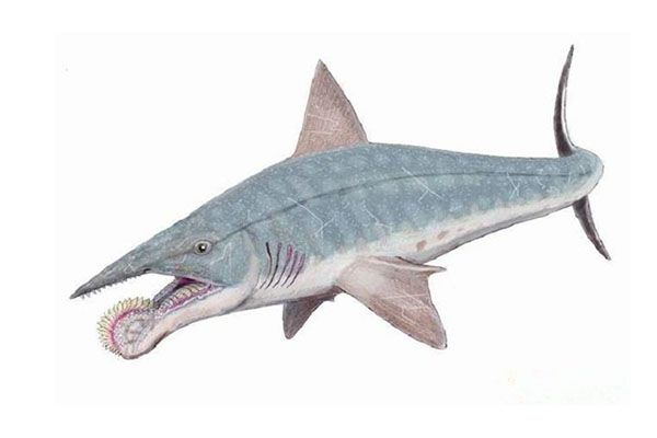 十大灭绝的可怕生物排名，一起看完，不要怂