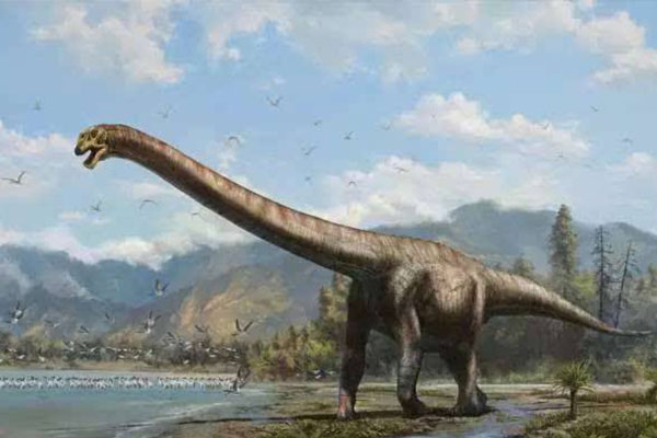 十大灭绝的可怕生物排名，一起看完，不要怂