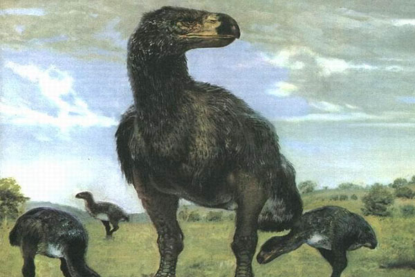 十大灭绝的可怕生物排名，一起看完，不要怂