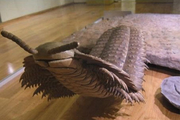 十大灭绝的可怕生物排名，一起看完，不要怂