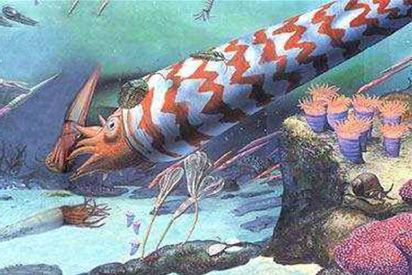 十大灭绝的可怕生物排名，一起看完，不要怂