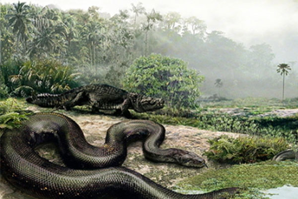 十大灭绝恐怖动物名单，所幸都已经成为化石