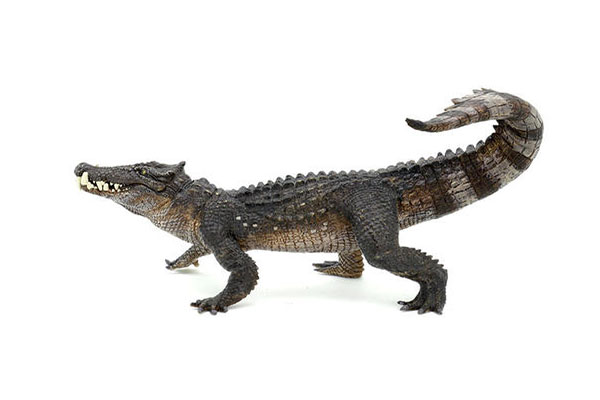 十大灭绝恐怖动物名单，所幸都已经成为化石