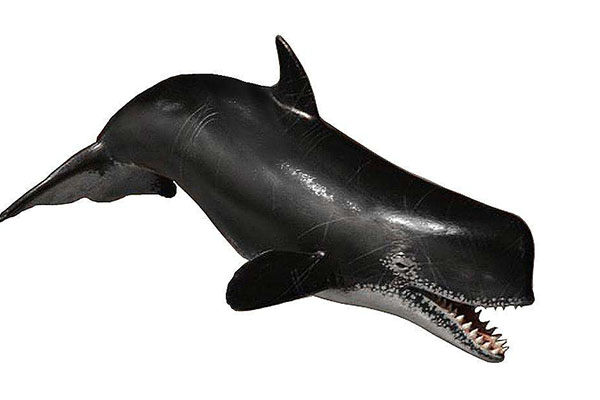 十大灭绝恐怖动物名单，所幸都已经成为化石