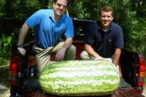 世界上最大最重的西瓜