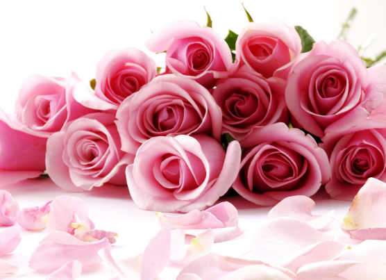 世界十大最稀有的花：泰坦魔芋臭气熏天,最后一种全球罕见