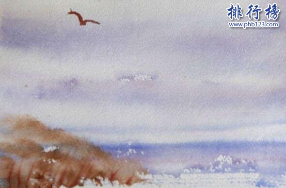 世界顶级智商俱乐部最小会员：海蒂·汉金斯 4岁IQ159