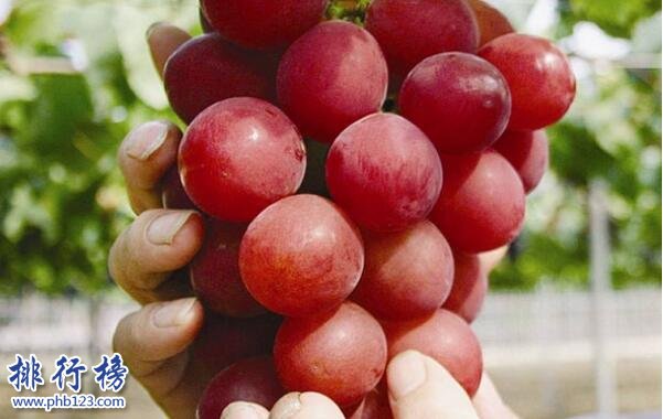 世界上最贵的十种水果排名 夕张王甜瓜7.35万元一个