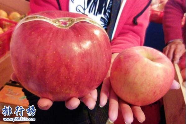 世界上最贵的十种水果排名 夕张王甜瓜7.35万元一个