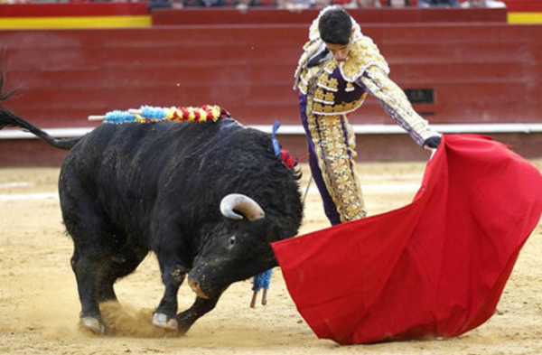 人类十大极限运动 最危险的运动，你试过吗