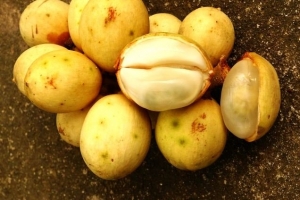 世界十大罕见水果:神秘果属国宝(周恩来总理引进)