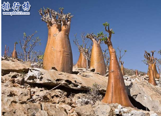 世界十大神秘地方：百慕大三角飞机和船舶的葬身地