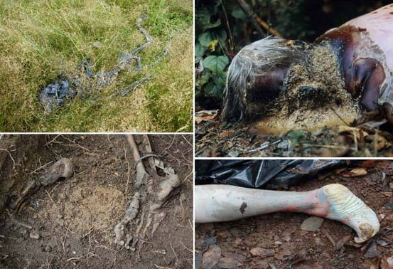 世界十大恐怖圣地 世界十大大毛骨悚然之地