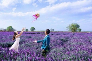 2018世界幸福指数排名,全球最幸福的国家排名(联合国完整版)