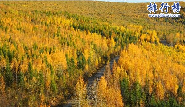 中国最美的10条公路 自驾风景最美的高速公路